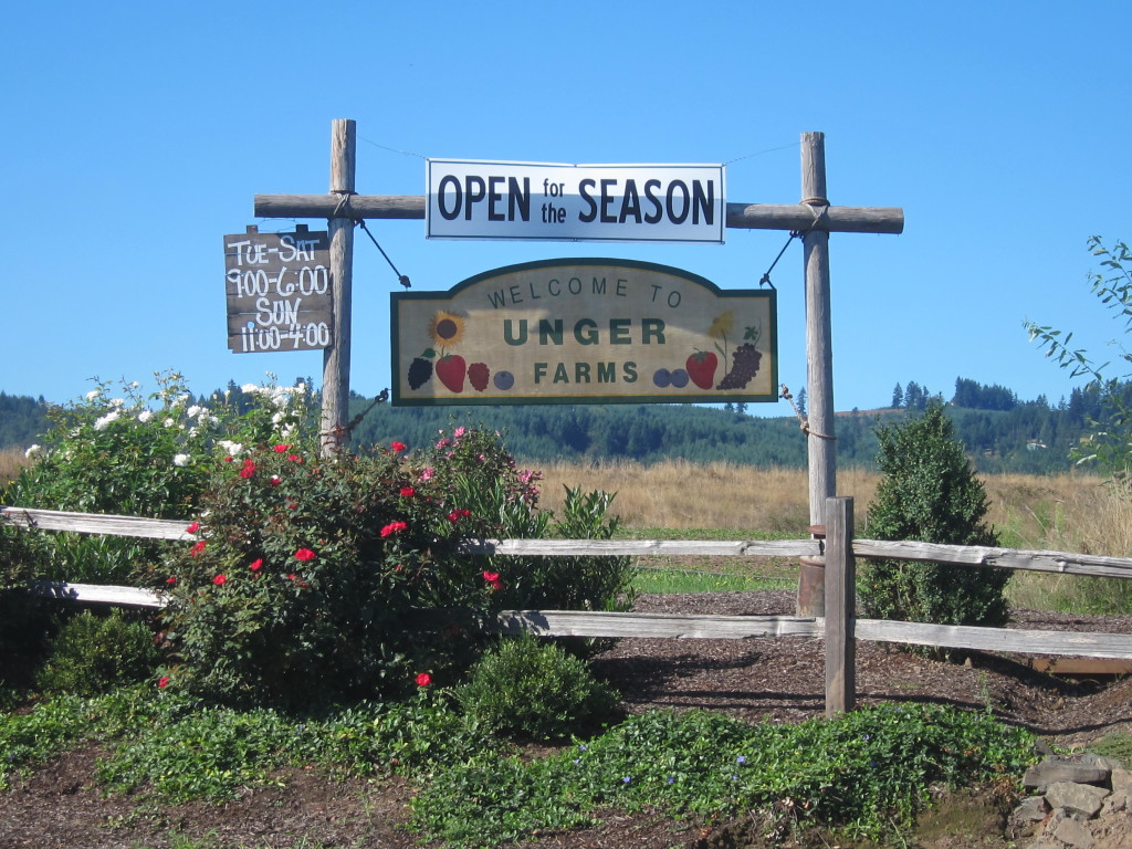 Unger Farm stand