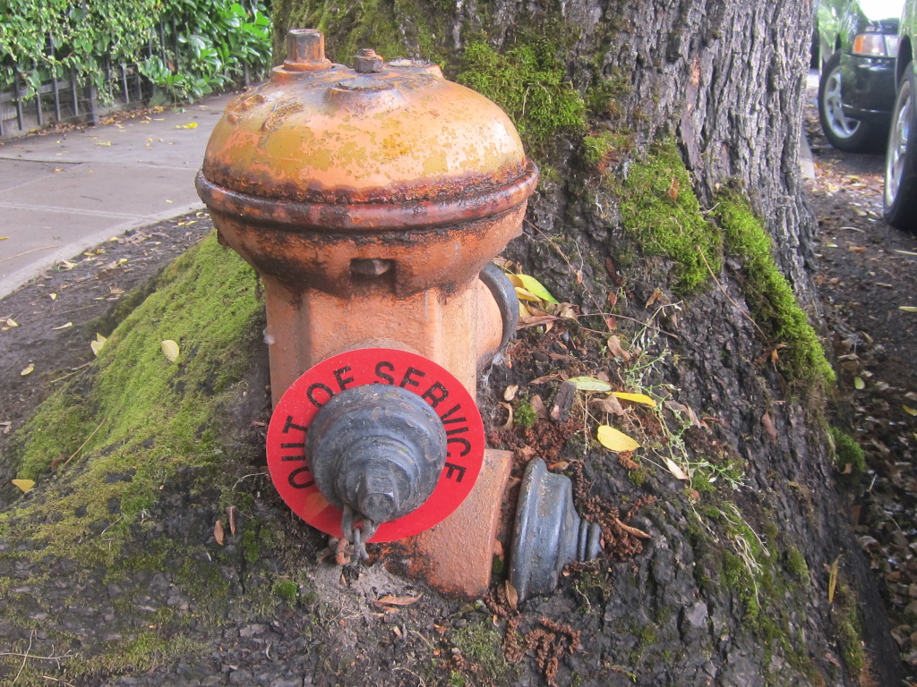 hydrant tree