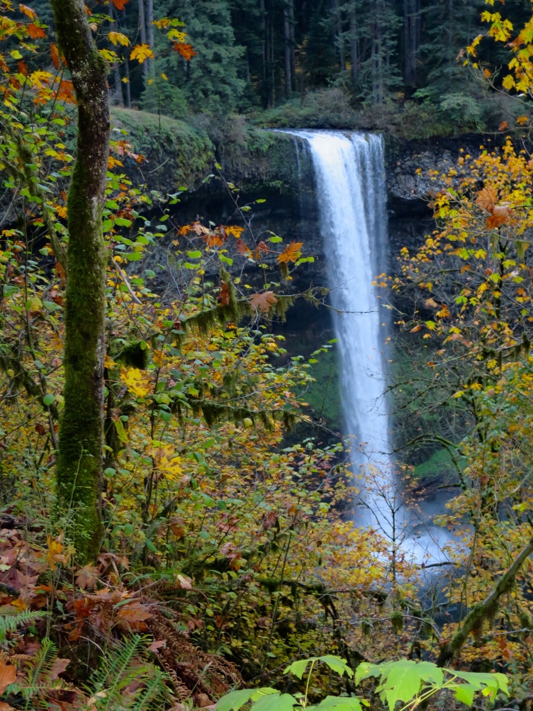 South Falls Silver Falls State Park