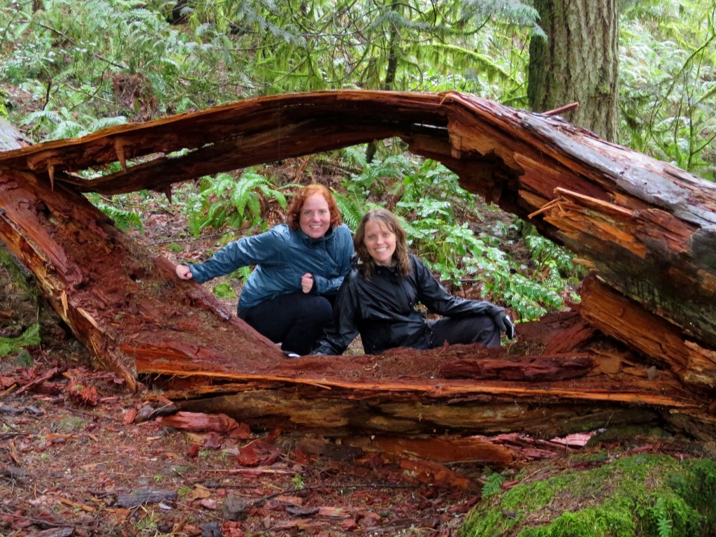 fallen log hikers