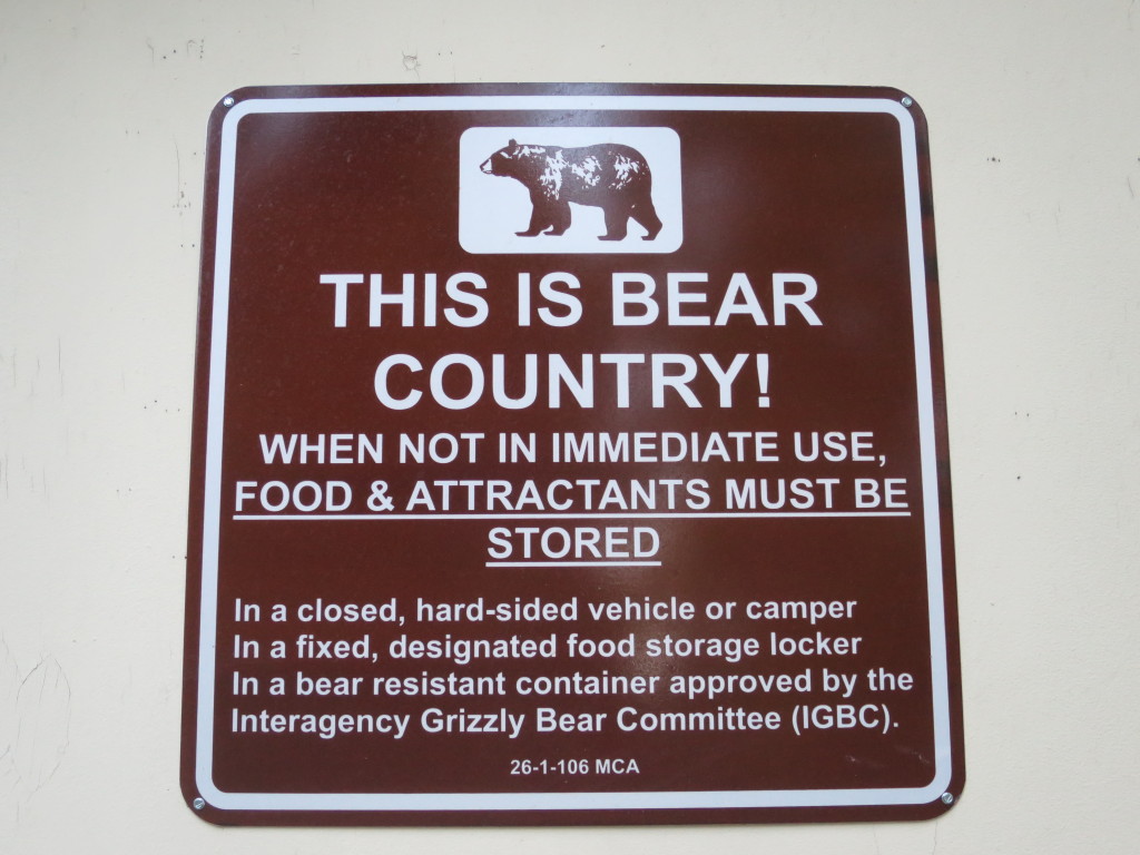 bear country