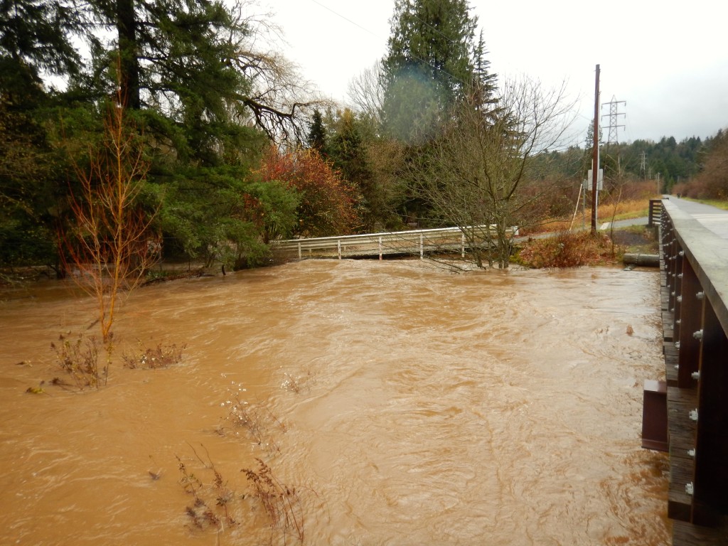 johnson creek overflowing