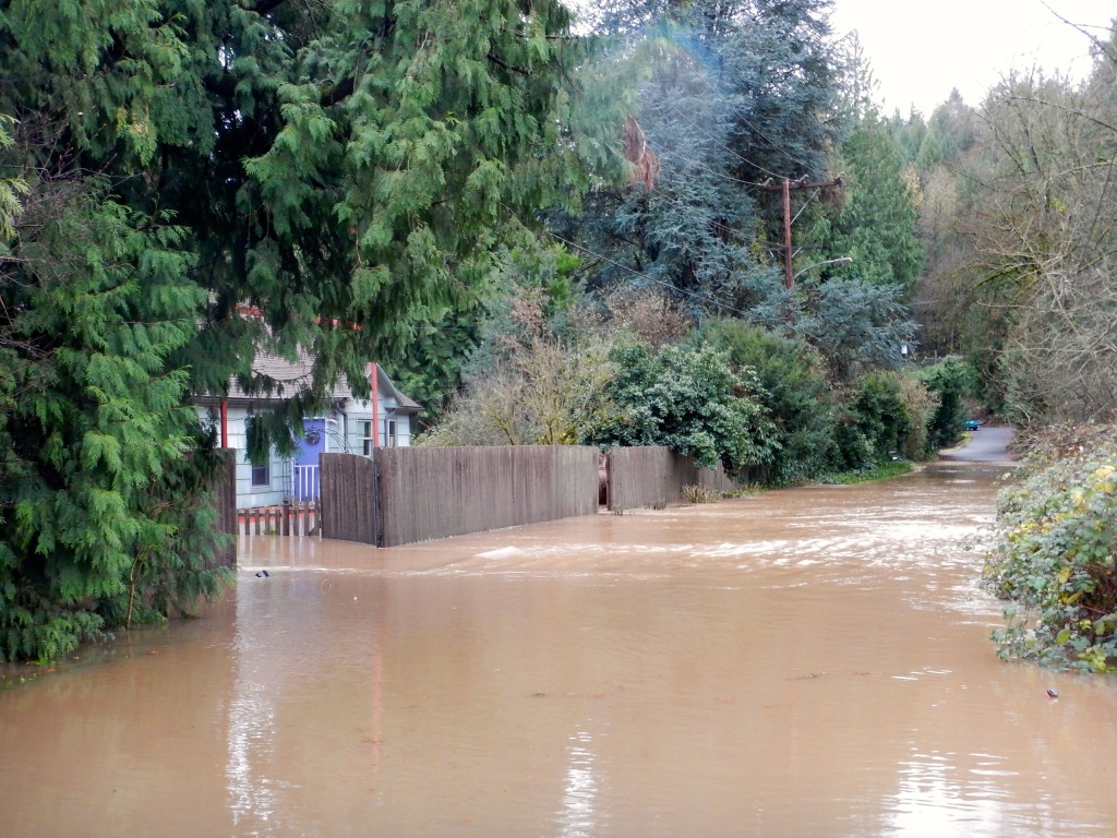 johnson creek house flooded