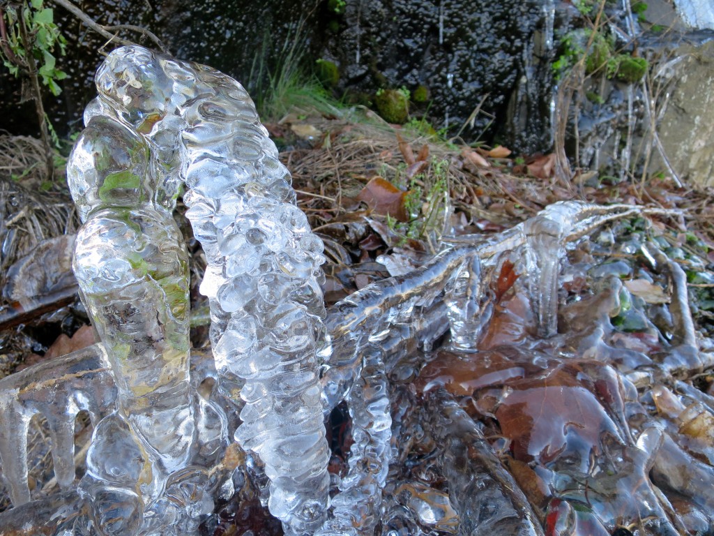highway 30 ice sculptures
