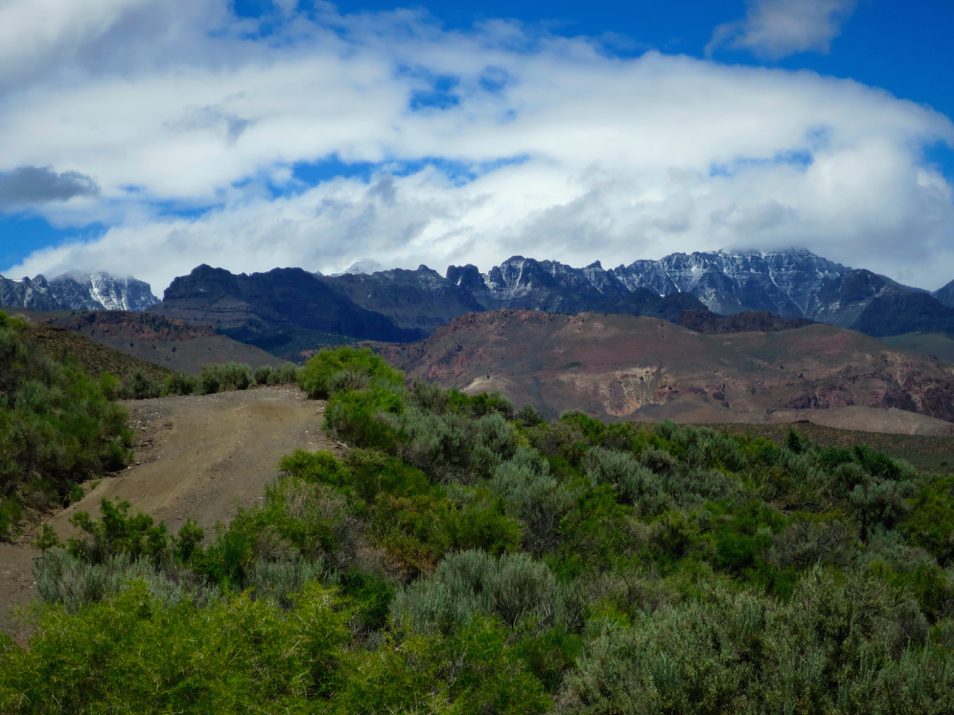 Steens from Alvord